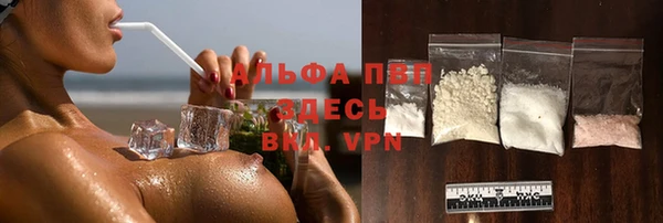 стаф Пенза