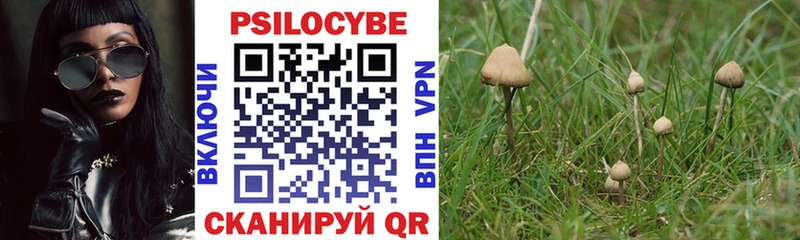 Псилоцибиновые грибы MAGIC MUSHROOMS  где купить   Бабушкин 